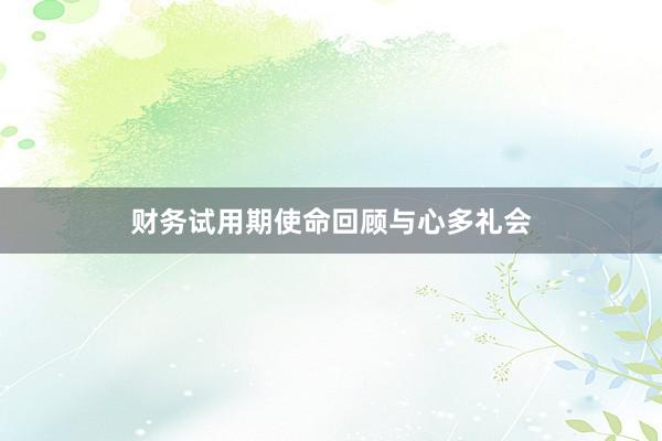 财务试用期使命回顾与心多礼会