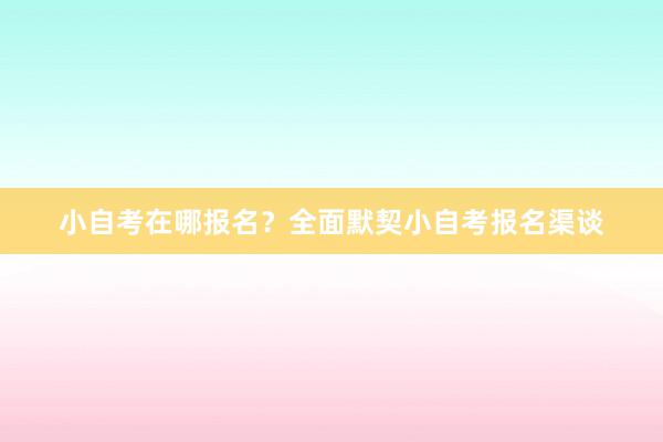 小自考在哪报名？全面默契小自考报名渠谈