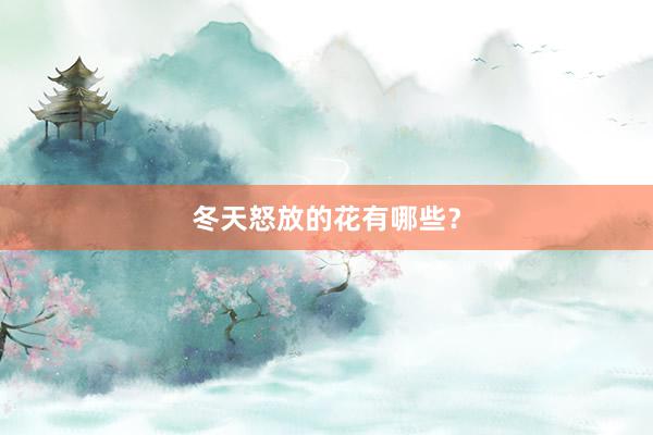 冬天怒放的花有哪些？